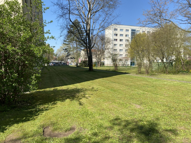 Immobilien Bild Hofseite