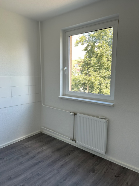 Immobilien Bild Musterbild Küche