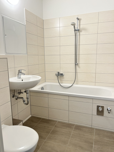 Immobilien Bild Muster Bad