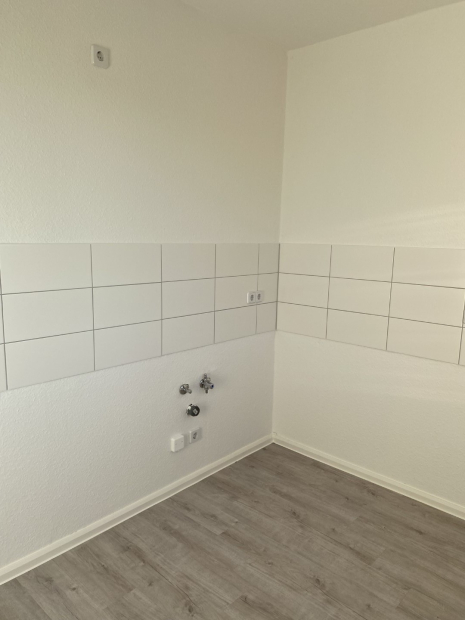 Immobilien Bild Musterbild Küche
