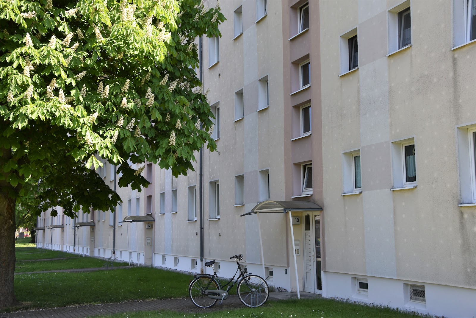 Außenansicht straßenseitig