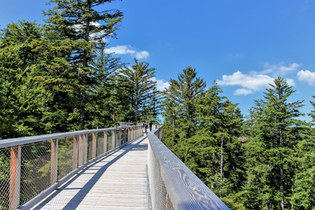 Wooden footbridge with lookout to sky VLW on Tour Prag