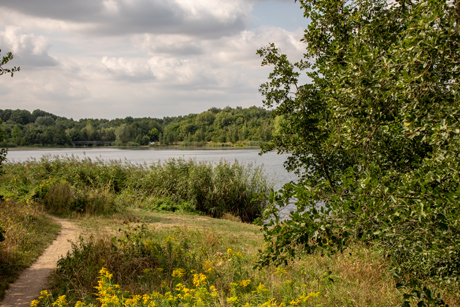 Picture from the lake lauer in the near from leipzig .It is a natural sea in a forest.It is a part of the tourism concept new lakeland(neu seenland)This is a beautiful place for bathing,watersports and a wonderful way for cyclists and pedestrians in the natur.